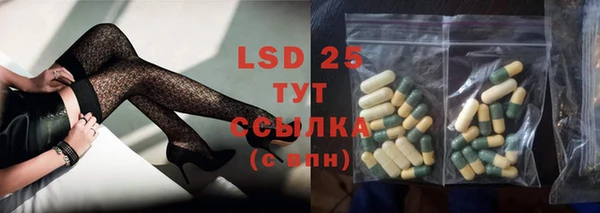 PSILOCYBIN Гусиноозёрск