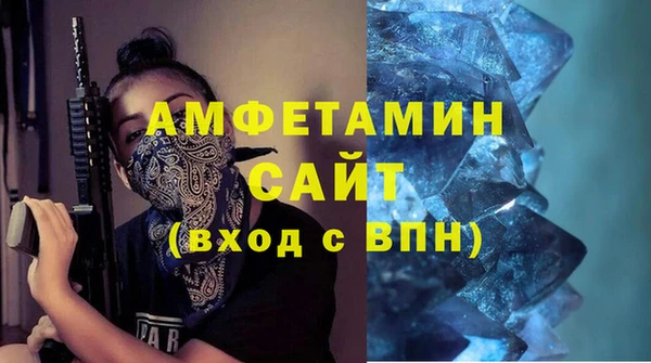 шишки Гусев